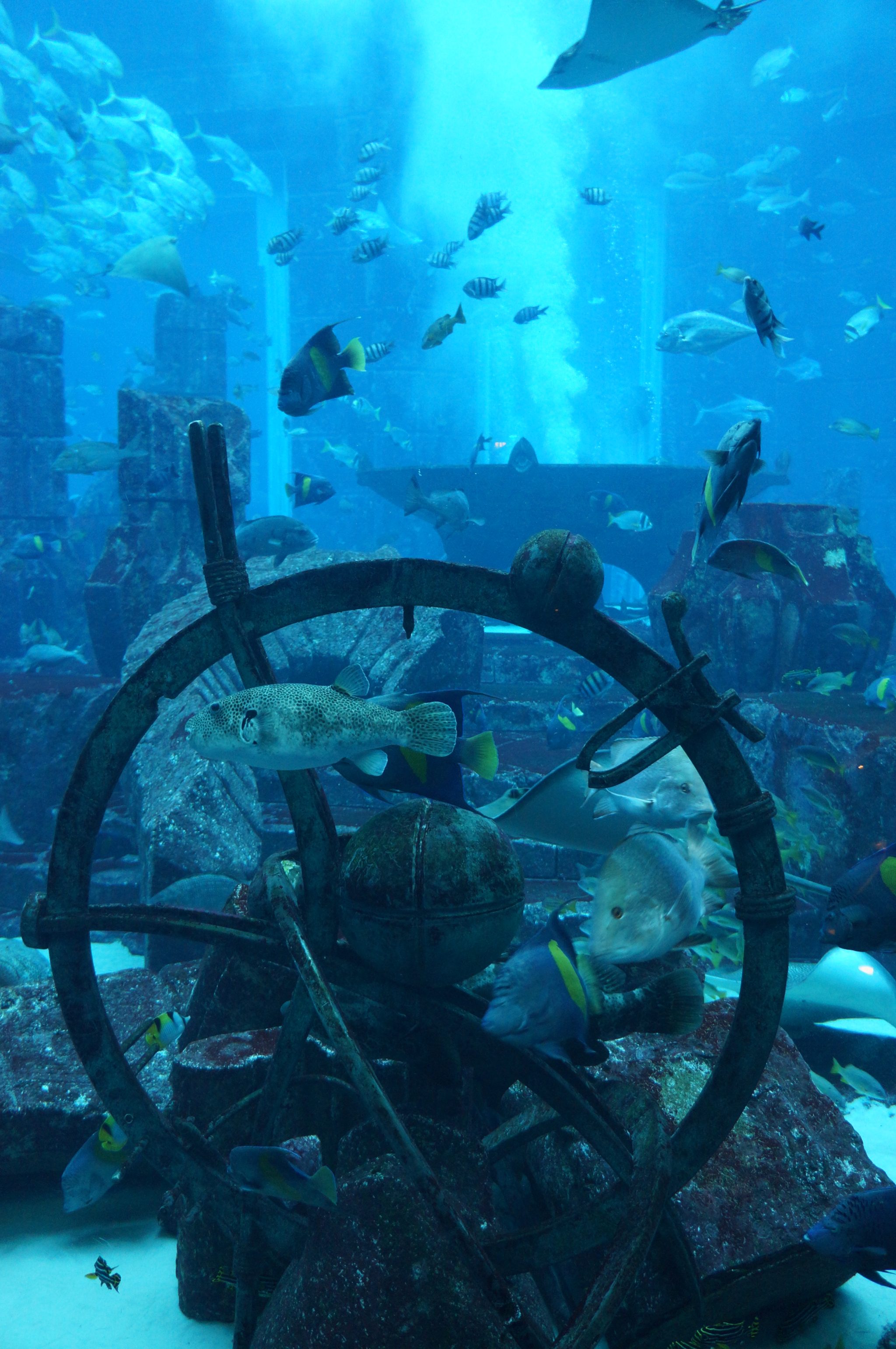 Dubai hotel atlantis Lost Chambers