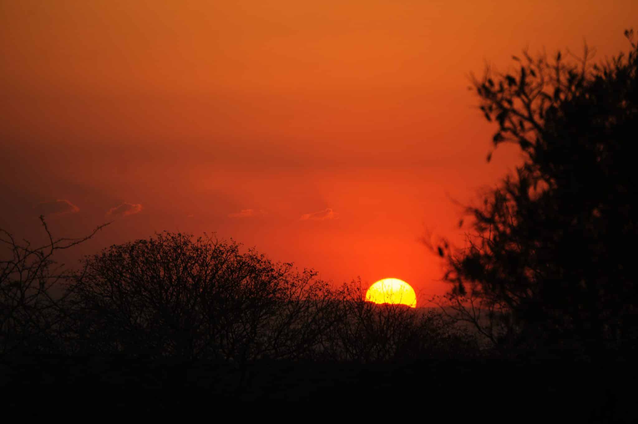 Zuid Afrika Safari Krugerpark