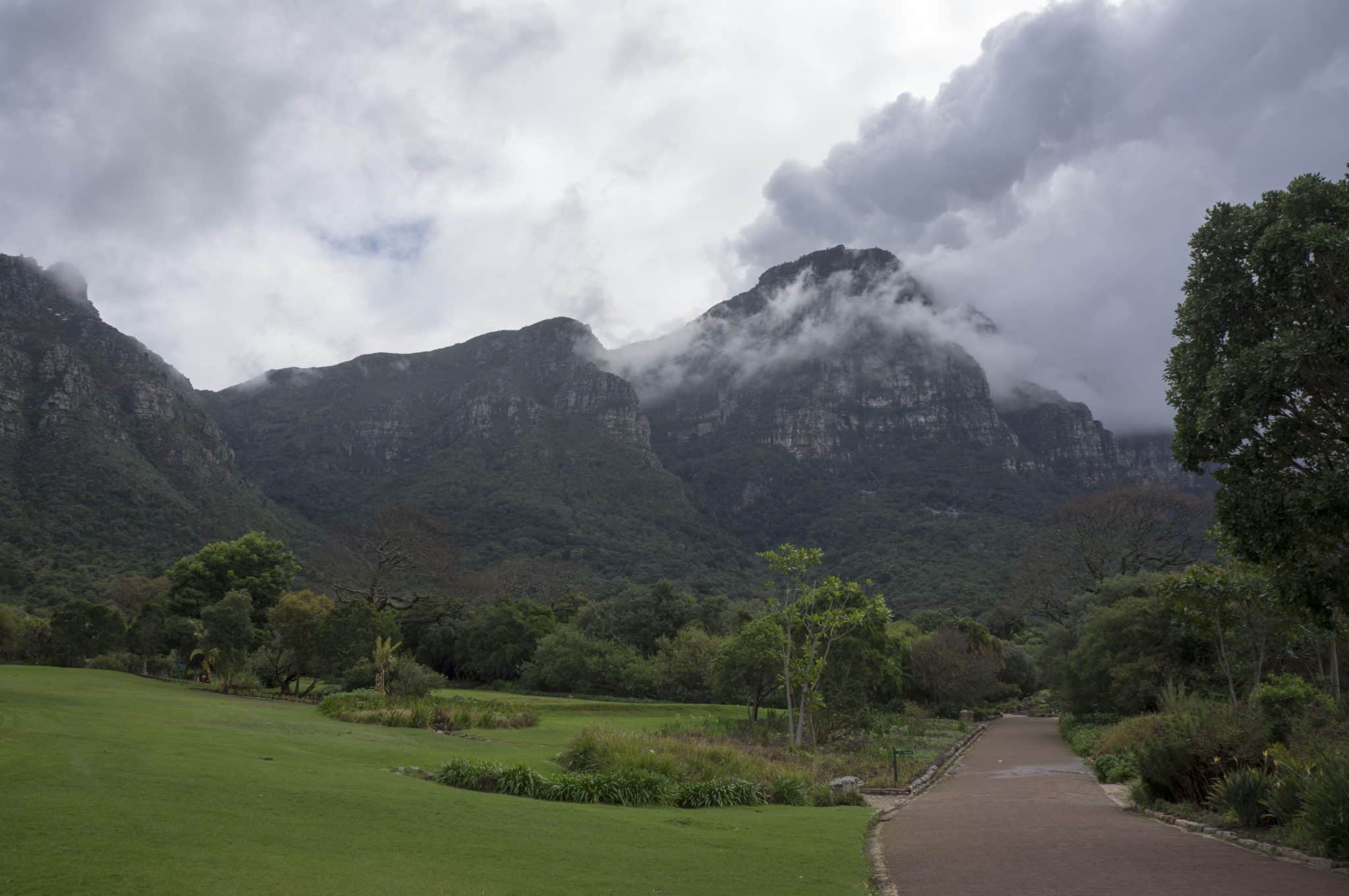 Kirstenbosch Zuid Afrika