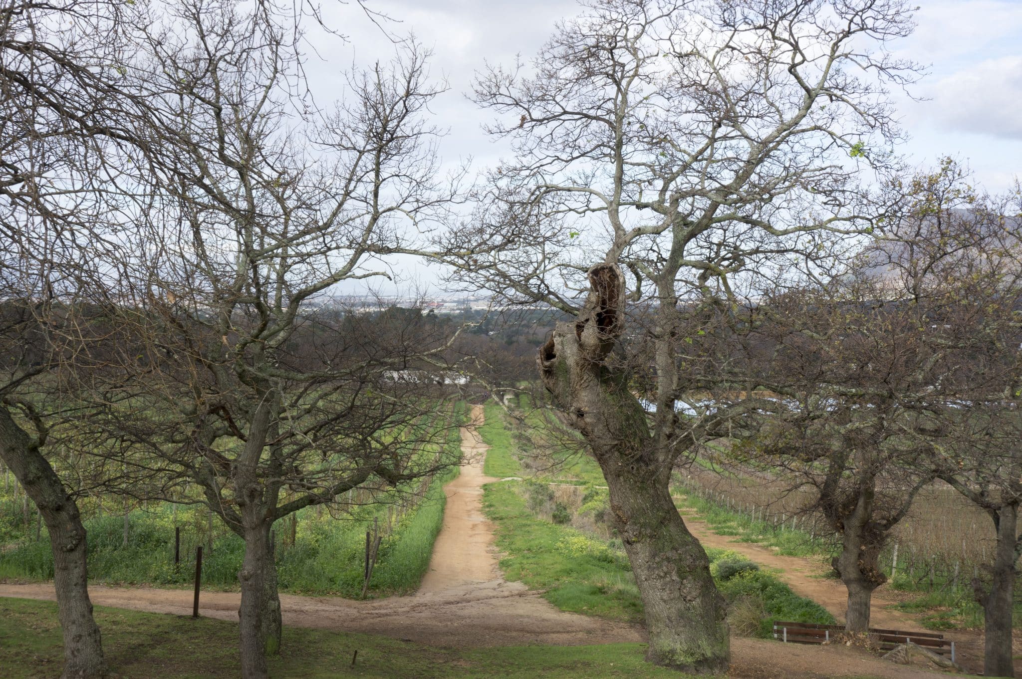 Groot Constantia Zuid Afrika