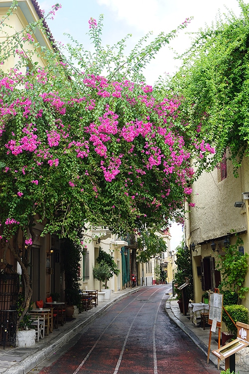 Athene Plaka