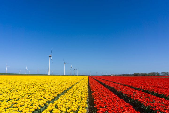 noordoostpolder flevoland tulpenroute rood geel