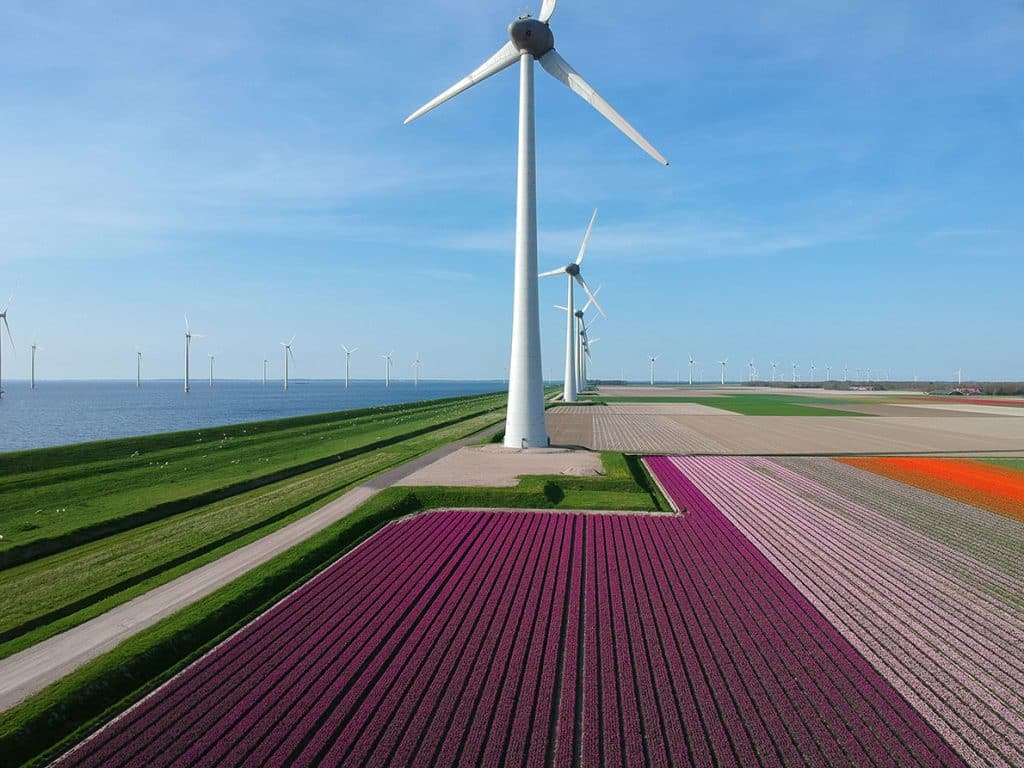 tulpenroute noordoostpolder flevoland