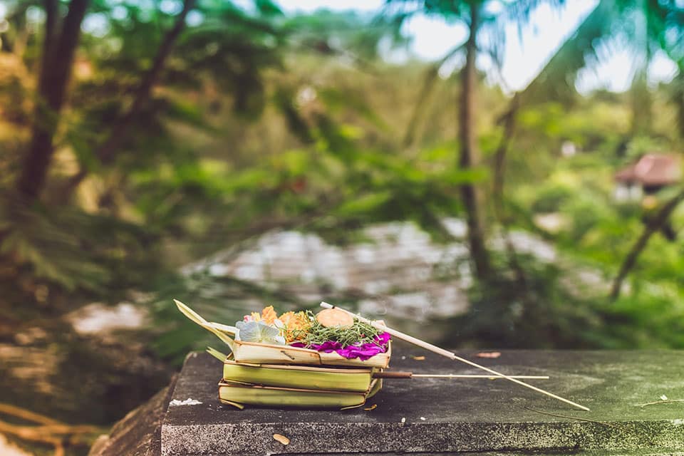 Bali offer