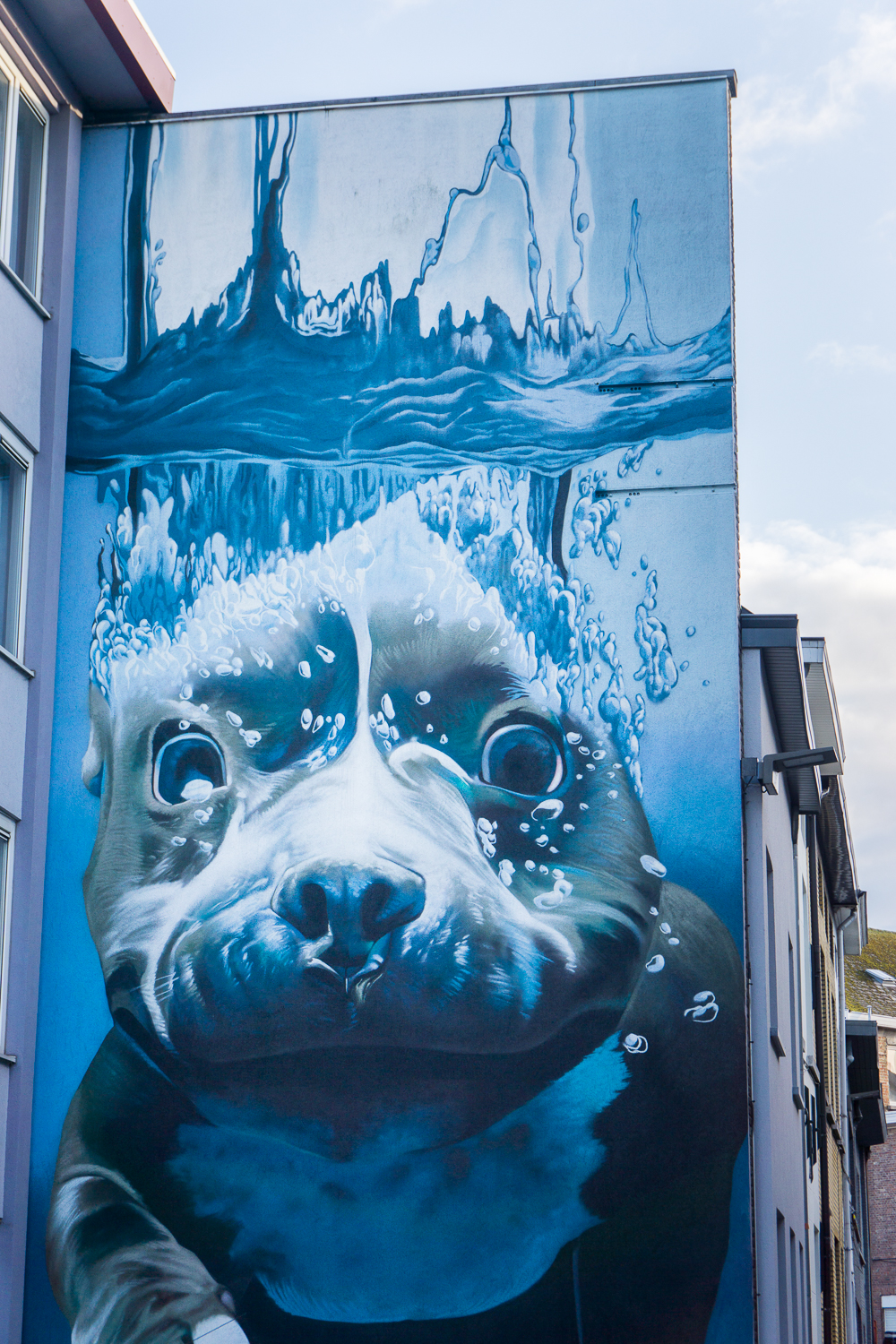 Mechelen-BelgiÃ«-16