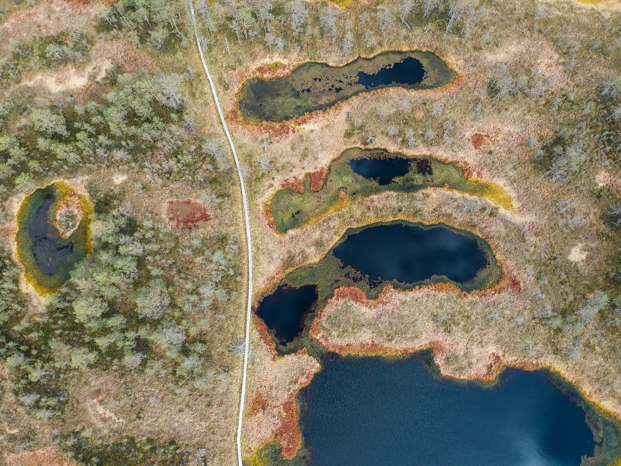 DCIM/100MEDIA/DJI_0179.JPG