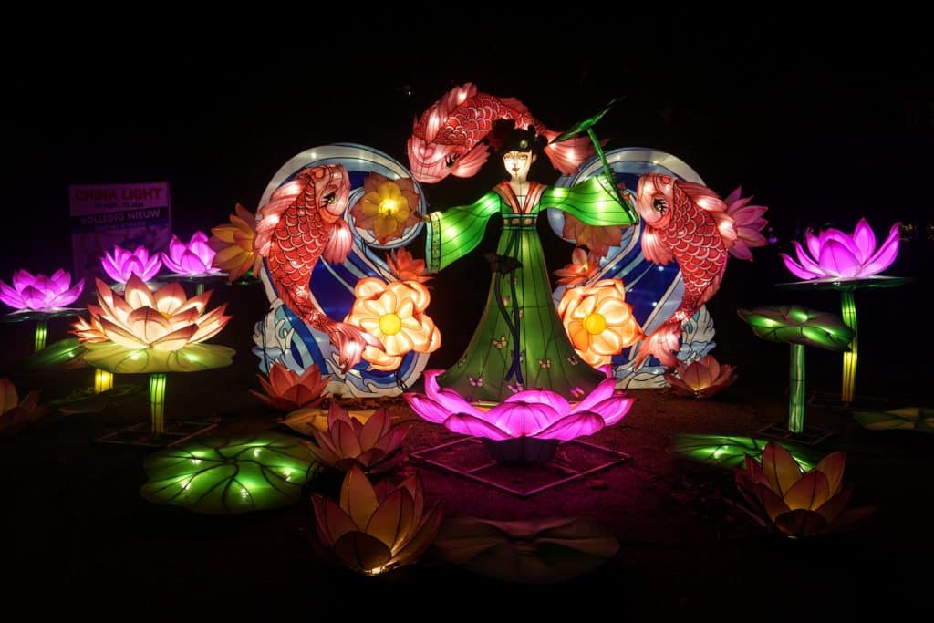 Antwerpen ZOO china light