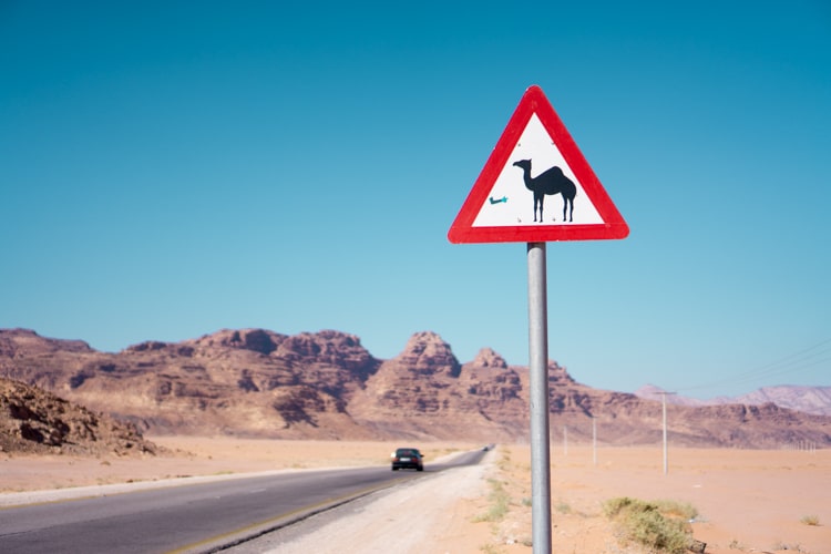 Rondreis JordaniÃ« per auto