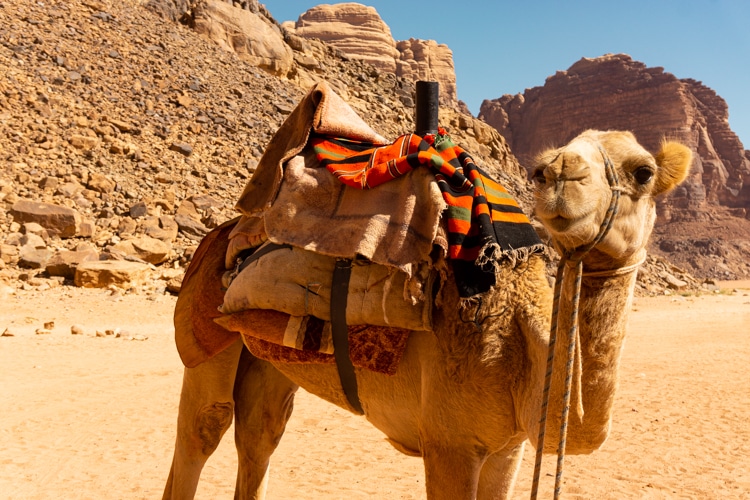Wadi Rum
