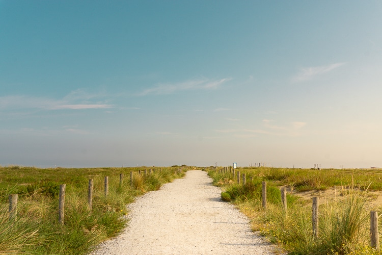 Duinen van Katwijk