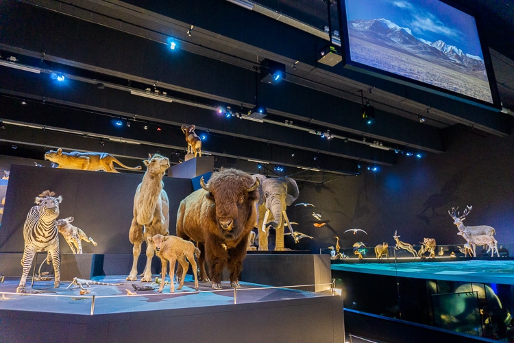 Leiden Naturalis 2