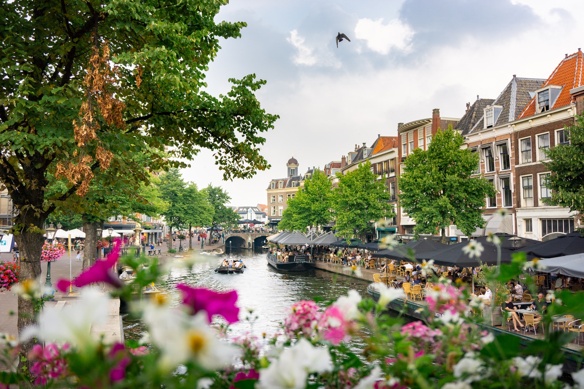 Leiden-centrum-gracht