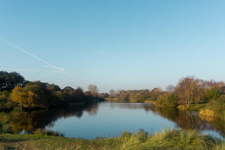 Watergebied in de Amsterdamse Waterleidingduinen. 