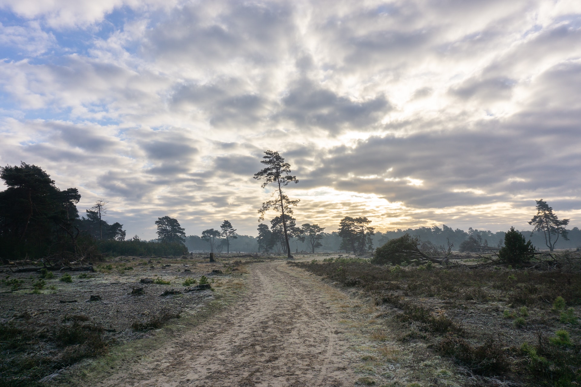 Nationaal-Park-Hoge-Veluwe