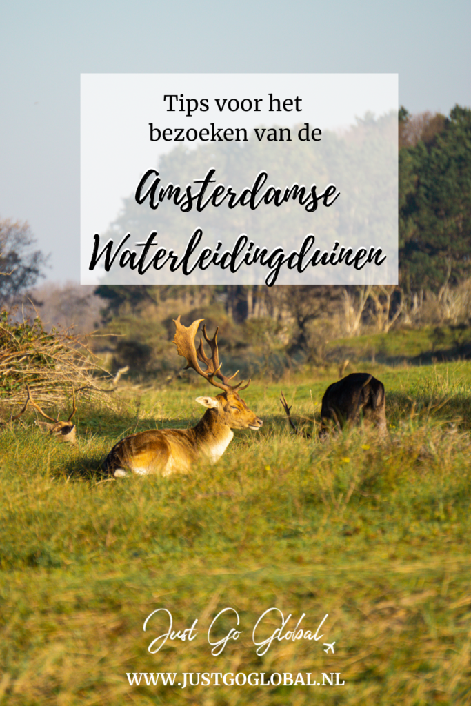 Nederland Amsterdamse Waterleidingduinen