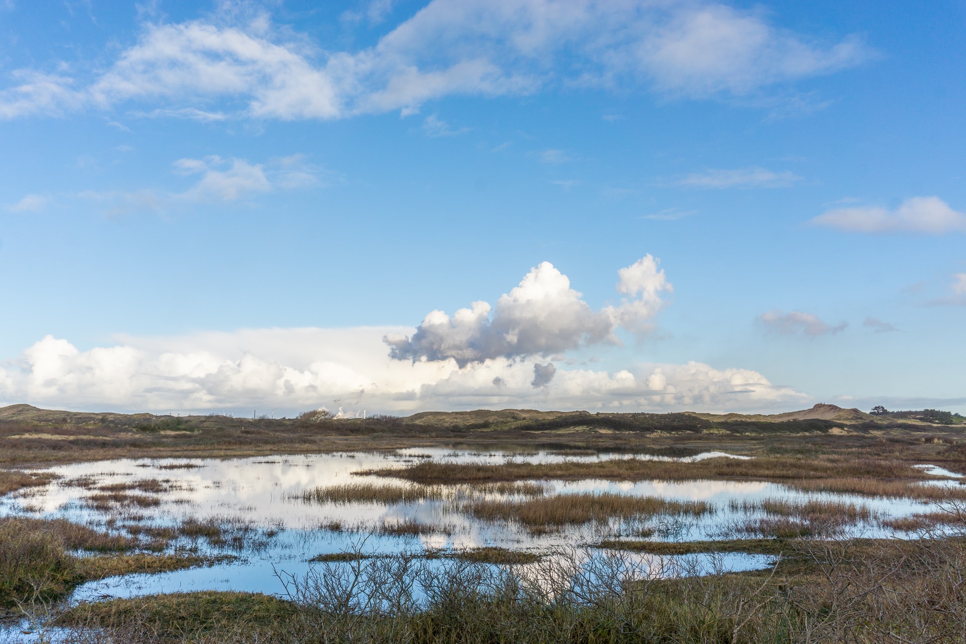 Landschap Zuid Kennemerland