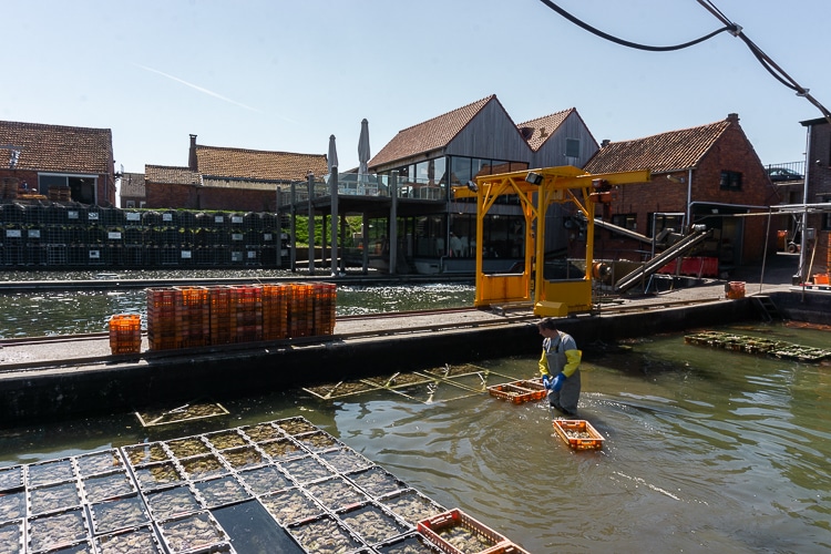 Oesterputten Yerseke
