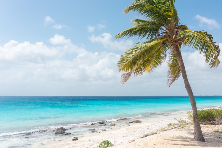Bonaire pink beach