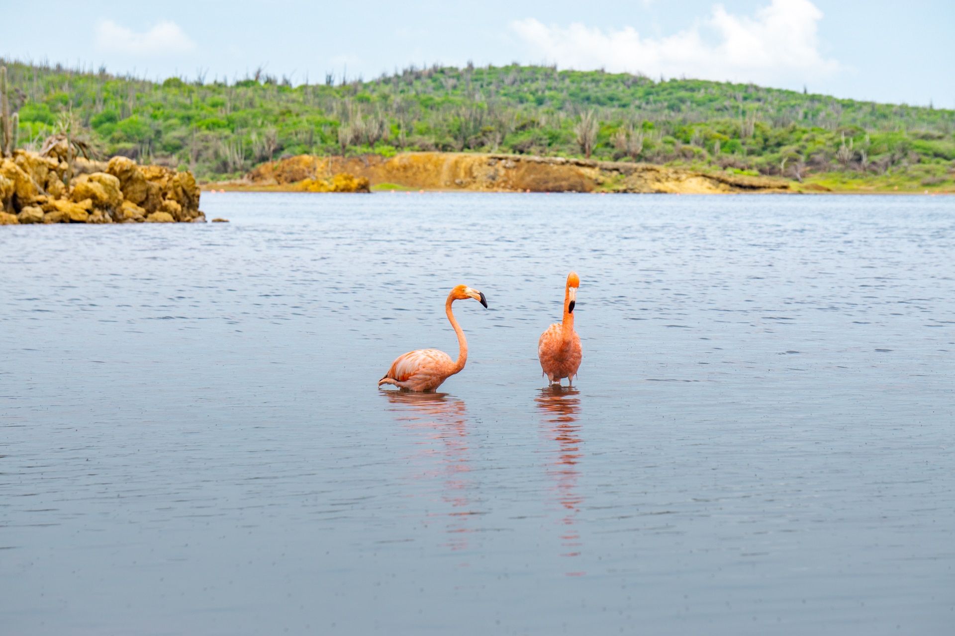 washington-slagbaai-bonaire