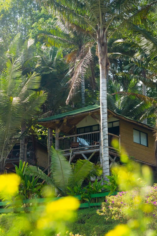 Kawa Mountain hotel Salento, Colombia