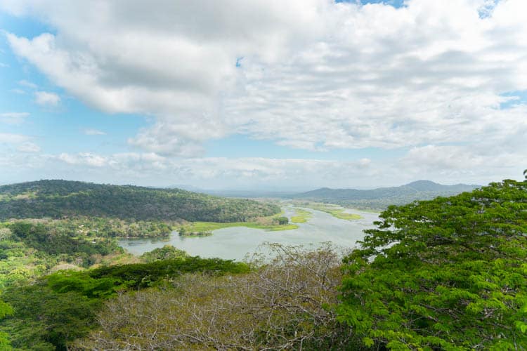 Gamboa Rainforest Reserve Panama