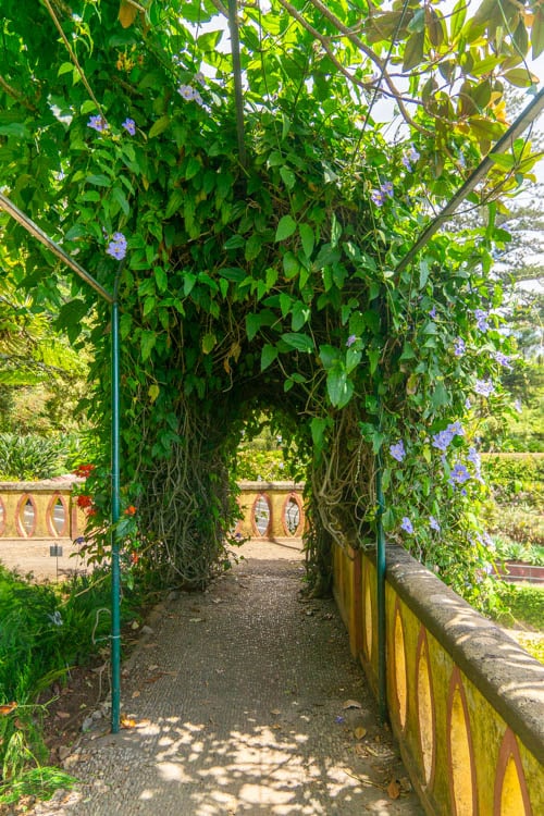 Madeira Botanical Garden