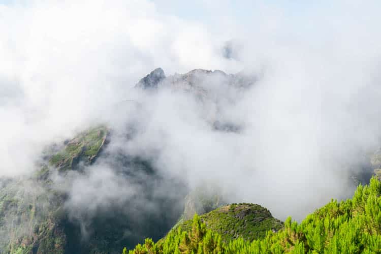 Madeira bergen