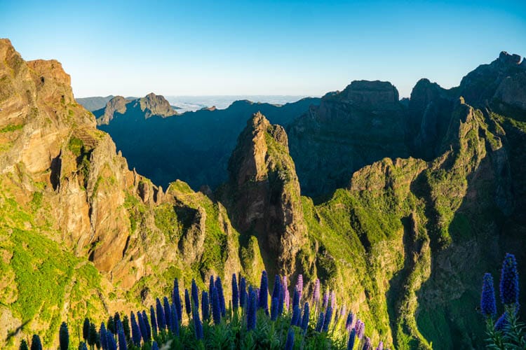 Madeira vakantie tips 1 1