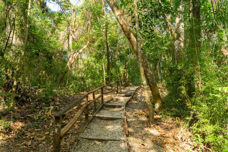 Wandelpaden in Metropolitan Natural Park