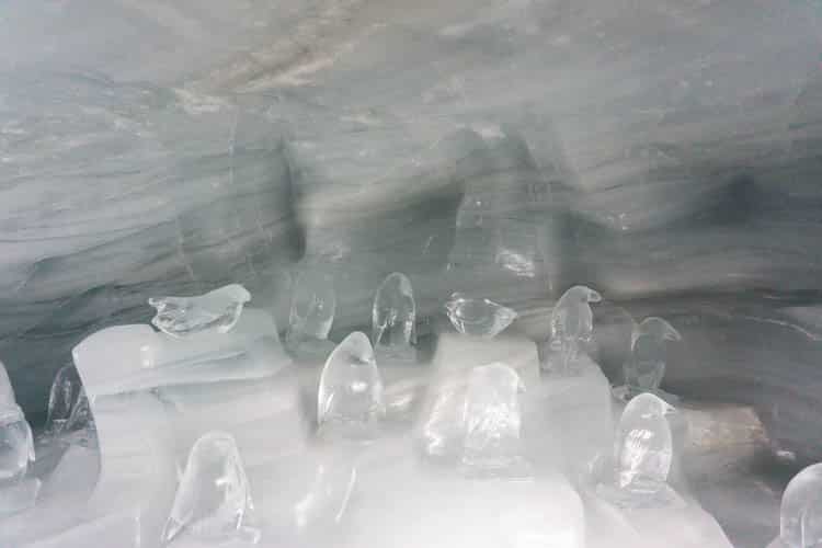 IJssulpturen van pinguins in het Ice Palace op Jungfraujoch 