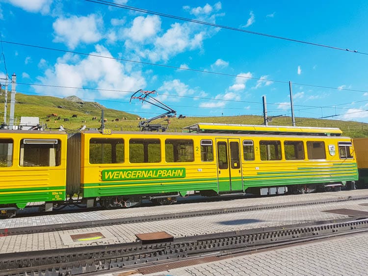 Trein naar Jungfraujoch