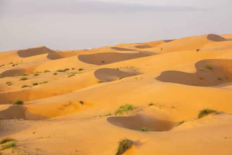 Overnachten in de woestijn van Oman - uitzicht op de goudgele zandduinen