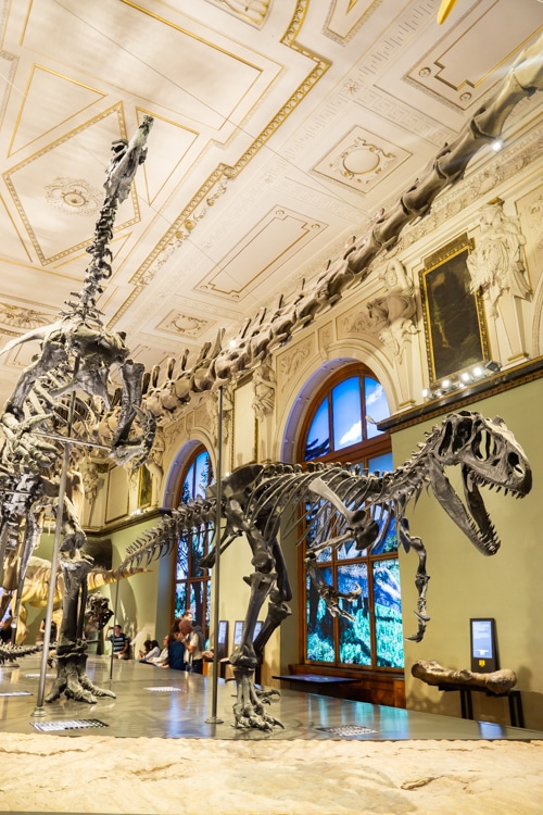 Natuurhistorisch Museum Wenen tips