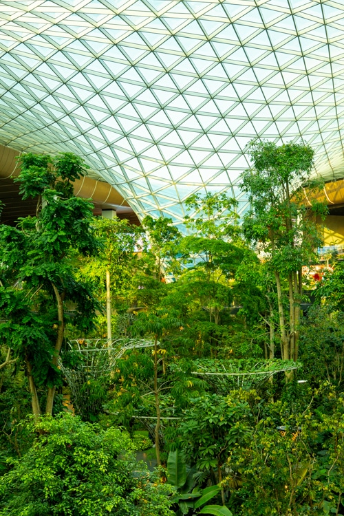 Tropische tuin onder glas op Doha Airport