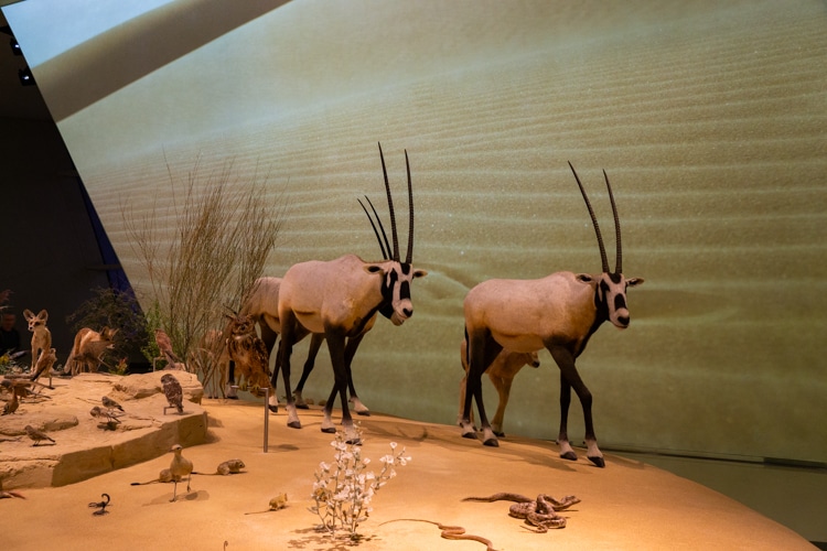 National museum Doha