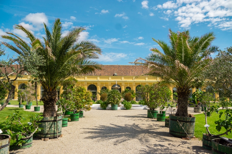 Schonbrunn Orangery