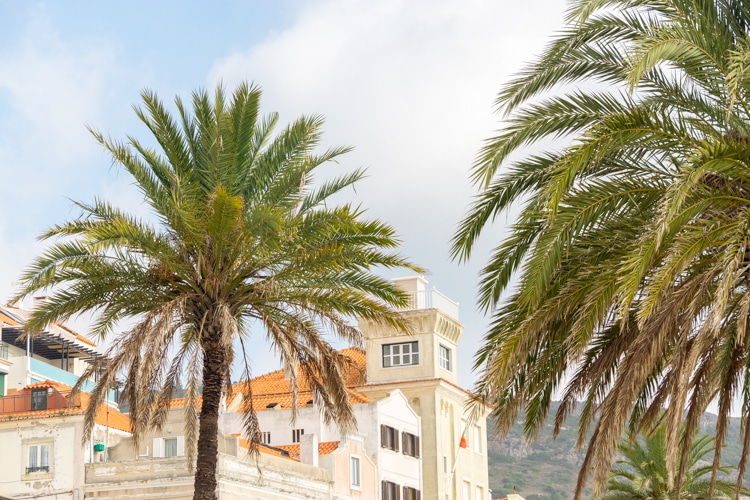 Tropische palmbomen omlijsten een historisch gebouw met een toren in Sesimbra, Portugal, op een zonnige dag