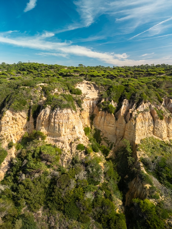 Gouden kliffen bedekt met groene vegetatie in de Paisagem Protegida da Arriba Fóssil da Costa de Caparica, Portugal, onder een heldere blauwe lucht