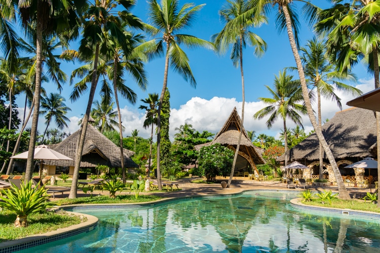 Zanzibar palumbo mnemba view