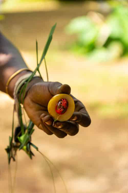 Zanzibar vakantie tips spice tour