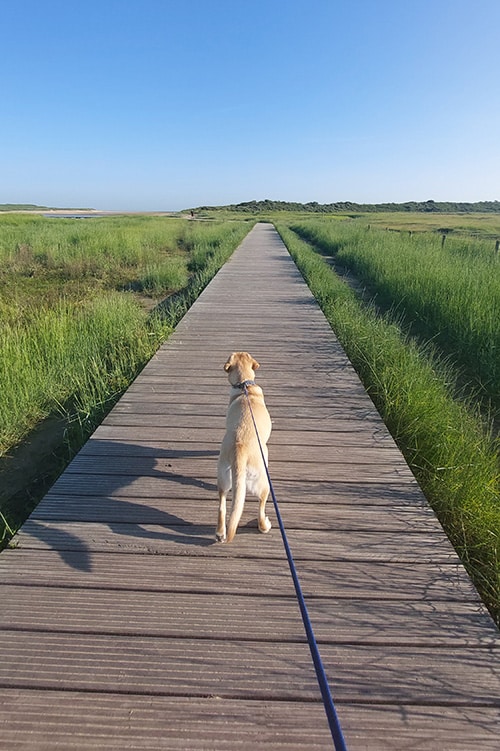 Zeeland 2