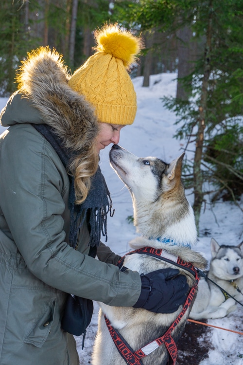 Een vrouw in een winterjas en gele muts deelt een liefdevol moment met een husky in een besneeuwd bos. Dit beeld straalt de magie en verbondenheid met de natuur uit die soloreizen naar winterse bestemmingen zoals Finland bieden.