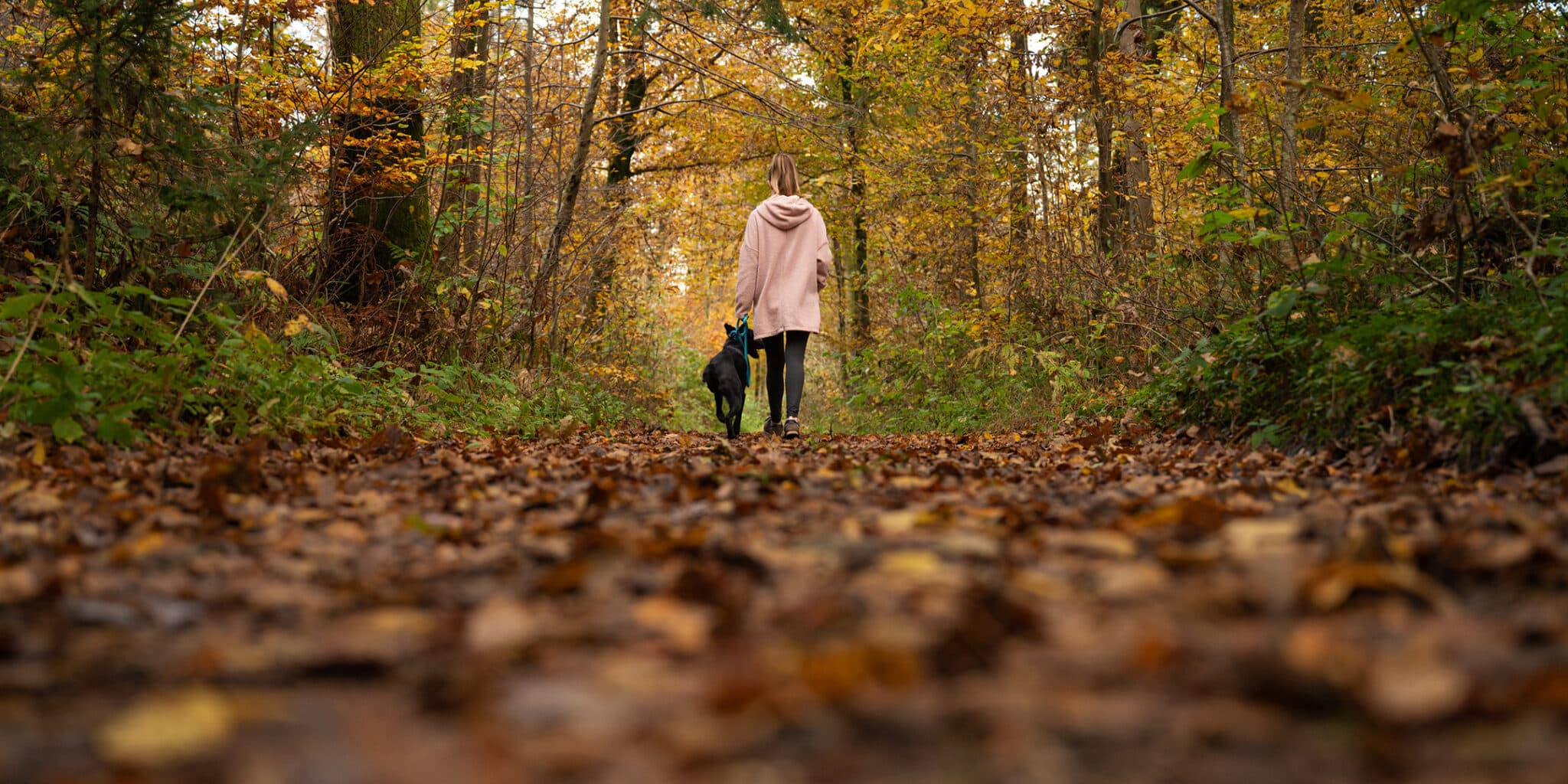 Vrouw wandelt over het Pieterpad met de hond