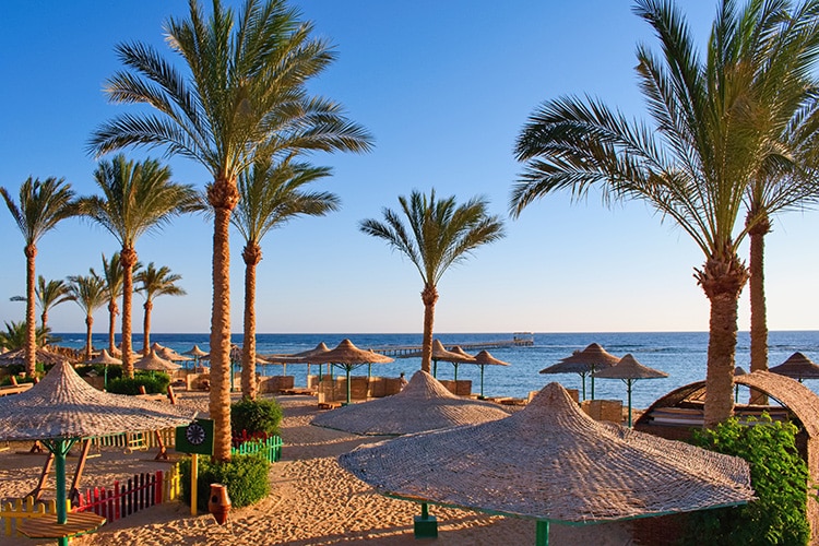 Hurghada, Egypte, Rode Zee, rieten parasols en palmbomen op het strand