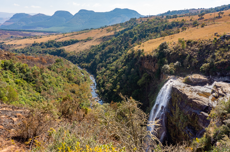 Indrukwekkend uitzicht op de Lisbon Falls, een van de hoogste watervallen en hoogtepunten langs de Panoramaroute in Zuid-Afrika, waar het water vanaf een steile klif naar beneden stort te midden van weelderige vegetatie.