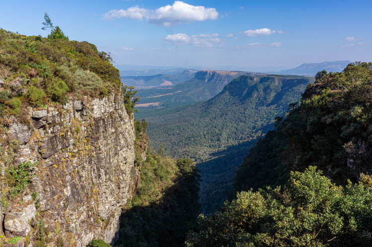 Uitzicht vanaf God’s Window, een iconisch hoogtepunt van de Panoramaroute, met een steile rotswand links en weidse vergezichten over het groene Laagveld en de uitgestrekte bossen onder een heldere lucht.