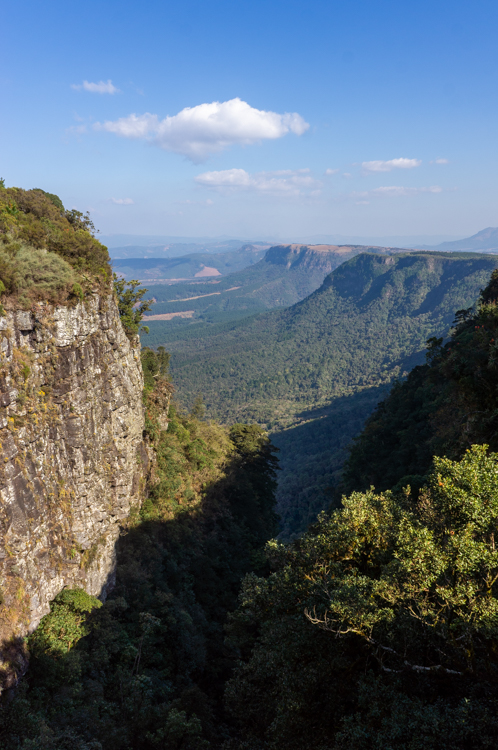 Uitzicht vanaf God’s Window, een iconisch hoogtepunt van de Panoramaroute, met een steile rotswand links en weidse vergezichten over het groene Laagveld en de uitgestrekte bossen onder een heldere lucht.