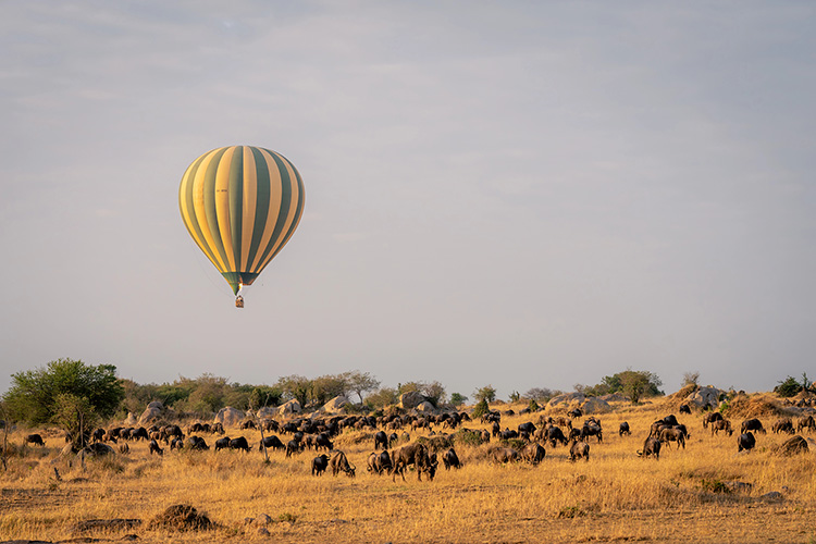 Luchtballon boven de savanne met gnoe's in Tanzania