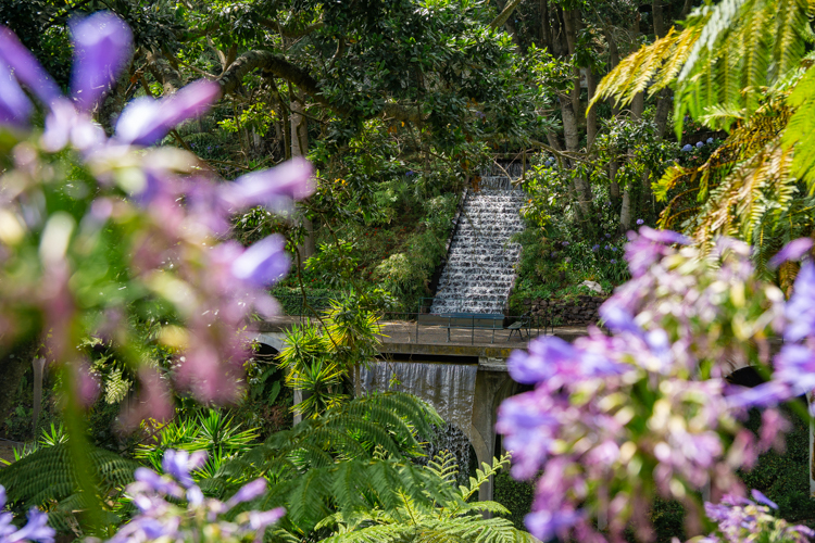 Madeira Monte palace tropical garden