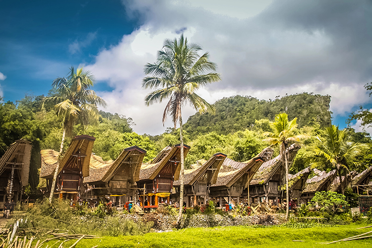 indonesie sulawesi